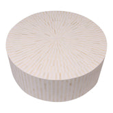 Maaya Bone Inlay Round drum Coffee Table Striped